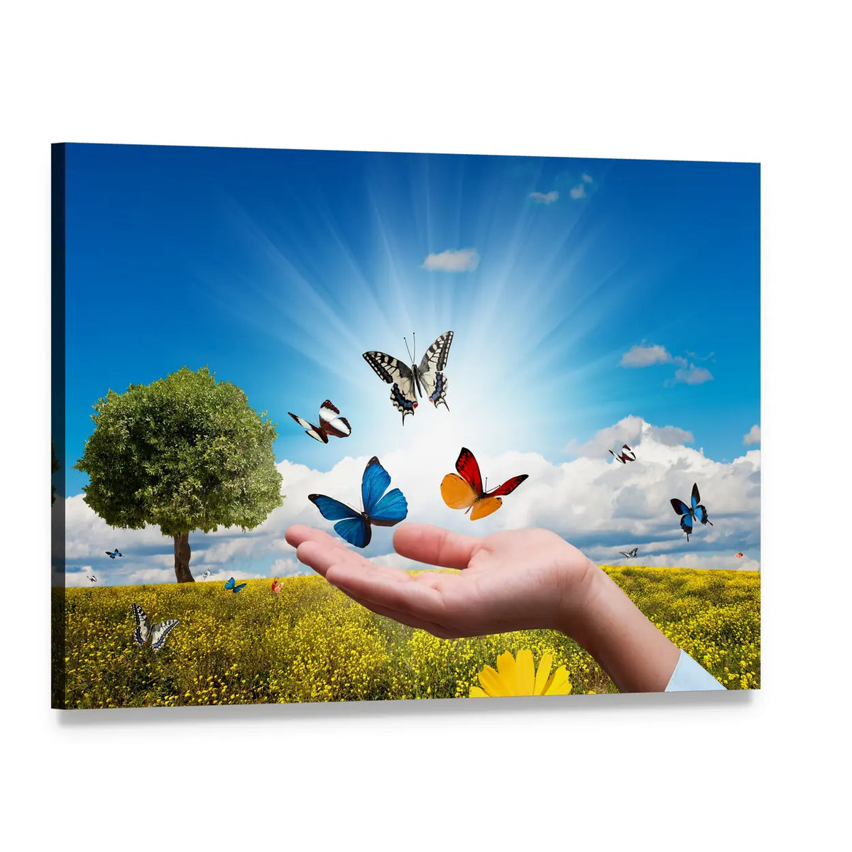 Hand Releasing Butterflies in Sunny Wildflower Field Canvas Wall Art, single panel gallery wrapped canvas, angled product view