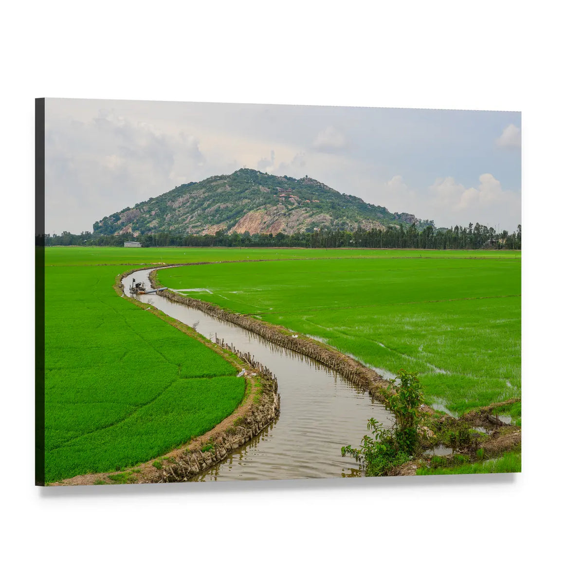 Vietnam Rice Fields with Canal and Boat Canvas Wall Art, single panel gallery wrapped canvas, angled product view