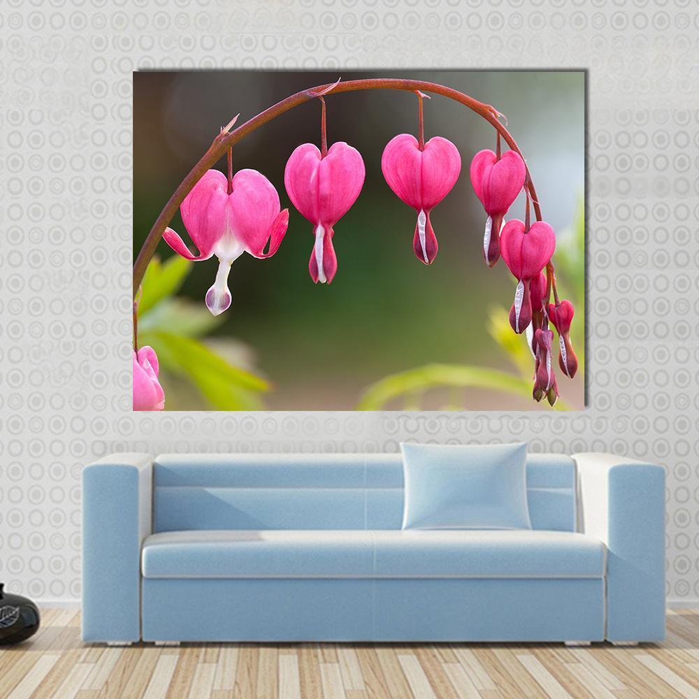 Bleeding Heart Flowers Canvas Wall Art-1 Piece-Gallery Wrap-36" x 24"-Tiaracle