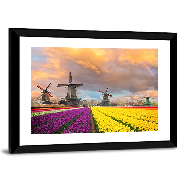 Tulip Fields and Dutch Windmills at Sunset Canvas Wall Art