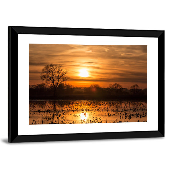 Sunset Lake with Golden Reflection Canvas Wall Art