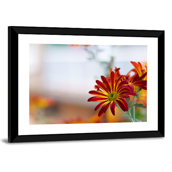 Chrysanthemum Under Sky Canvas Wall Art-1 Piece-Framed Print-20" x 16"-Tiaracle