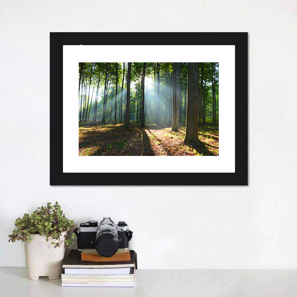 Morning In The Forest Canvas Wall Art-5 Horizontal-Gallery Wrap-22" x 12"-Tiaracle