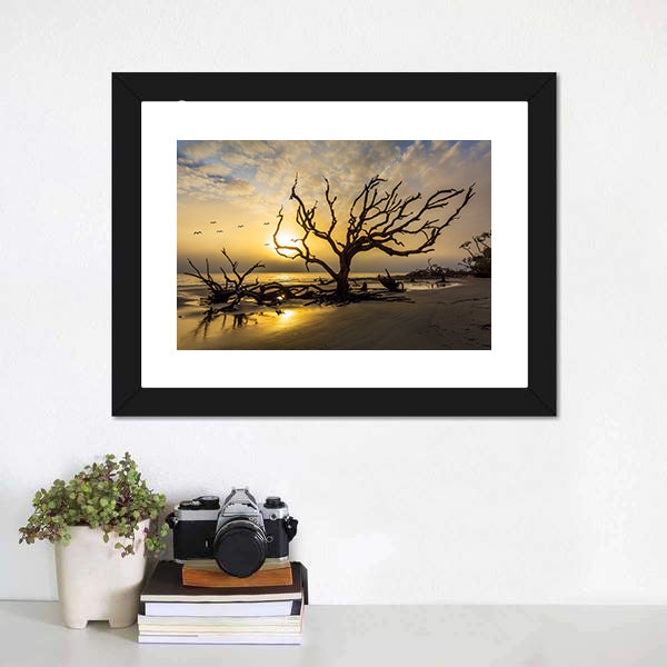 Driftwood Covered Beach Canvas Wall Art-5 Horizontal-Gallery Wrap-22" x 12"-Tiaracle