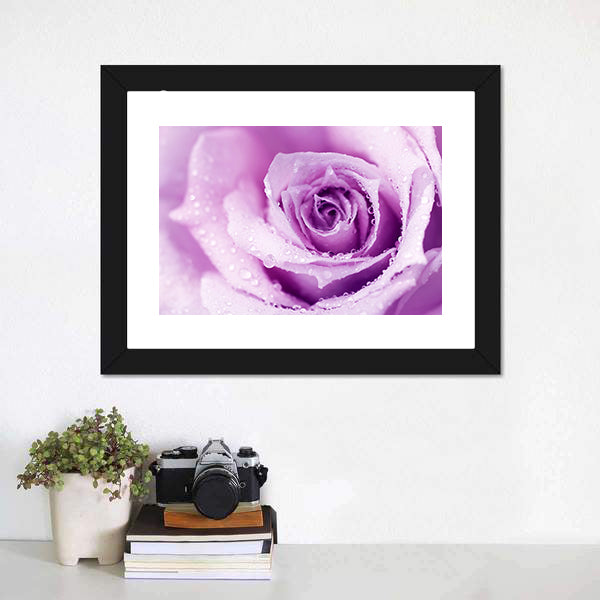 Abstract Purple Rose with Dew Drops Canvas Wall Art