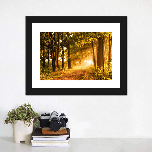 Misty Footpath In Forest Canvas Wall Art-5 Horizontal-Gallery Wrap-22" x 12"-Tiaracle