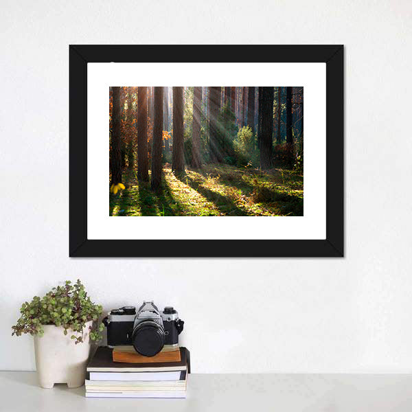 Old Autumn Forest Canvas Wall Art-5 Horizontal-Gallery Wrap-22" x 12"-Tiaracle