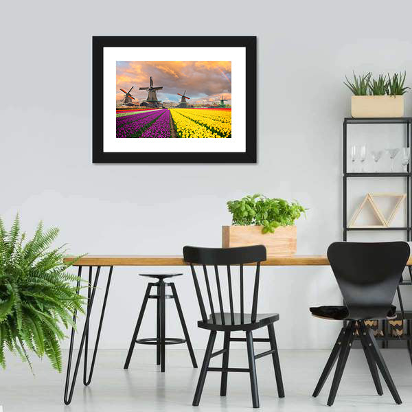 Purple and Yellow Tulip Fields with Windmills Canvas Wall Art