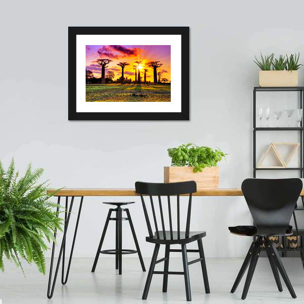 Baobab Trees At Sunset Canvas Wall Art-5 Horizontal-Gallery Wrap-22" x 12"-Tiaracle