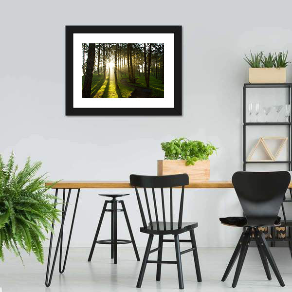 Morning In Pine Forest Canvas Wall Art-5 Horizontal-Gallery Wrap-22" x 12"-Tiaracle