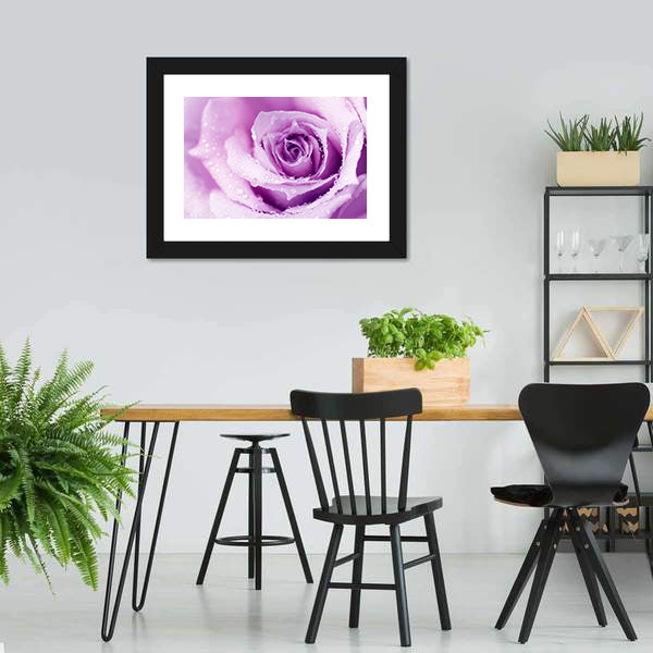 Abstract Purple Rose with Dew Drops Canvas Wall Art