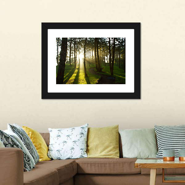 Morning In Pine Forest Canvas Wall Art-5 Horizontal-Gallery Wrap-22" x 12"-Tiaracle