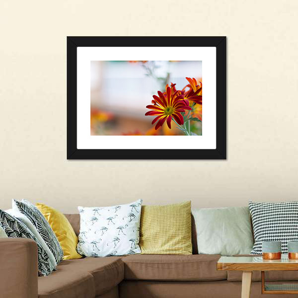 Chrysanthemum Under Sky Canvas Wall Art-3 Horizontal-Gallery Wrap-25" x 16"-Tiaracle