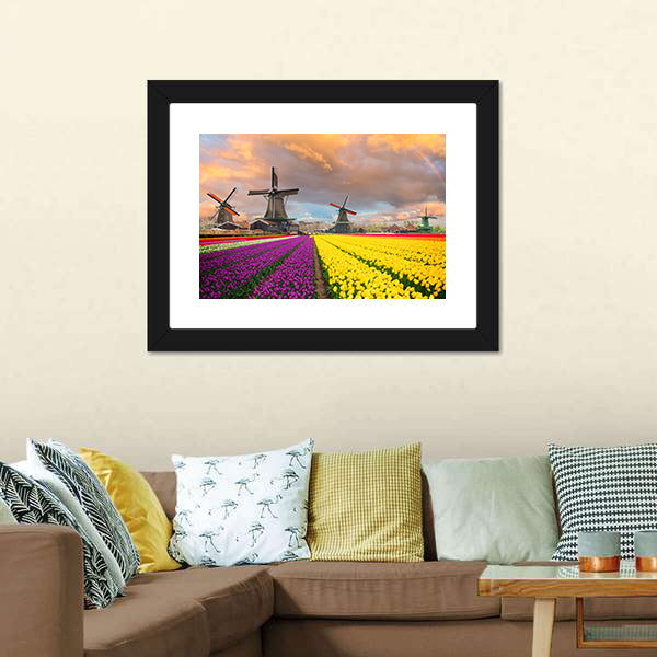 Purple and Yellow Tulip Fields with Windmills Canvas Wall Art