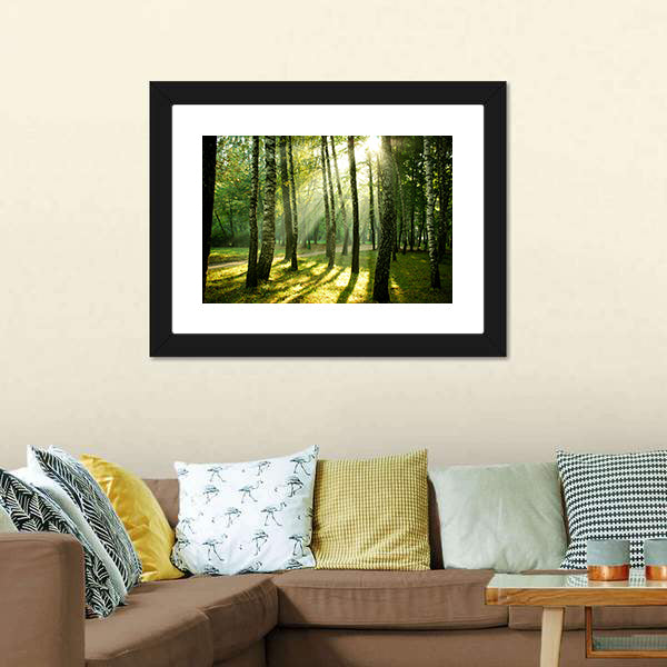 Autumn Morning in a Birch Forest Canvas Wall Art