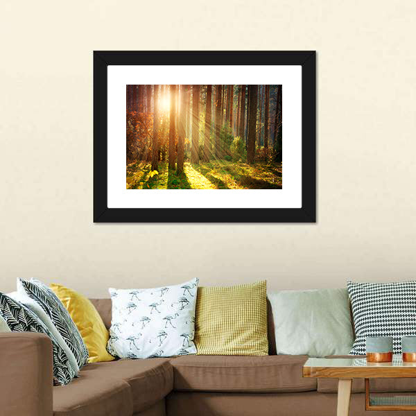 Misty Old Forest Autumn Canvas Wall Art-5 Horizontal-Gallery Wrap-22" x 12"-Tiaracle