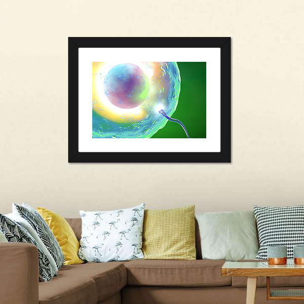 Conception: Ovum and Sperm Canvas Wall Art
