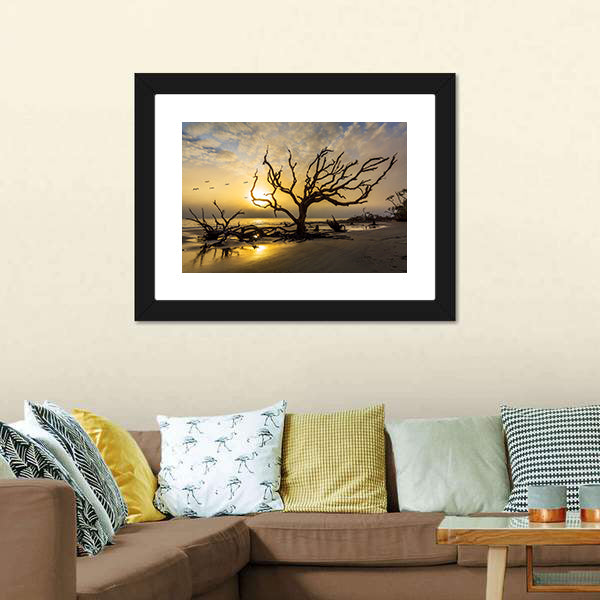Driftwood Covered Beach Canvas Wall Art-3 Horizontal-Gallery Wrap-25" x 16"-Tiaracle