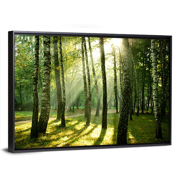 Autumn Morning in a Birch Forest Canvas Wall Art