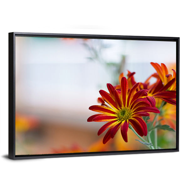 Chrysanthemum Under Sky Canvas Wall Art-1 Piece-Floating Frame-24" x 16"-Tiaracle