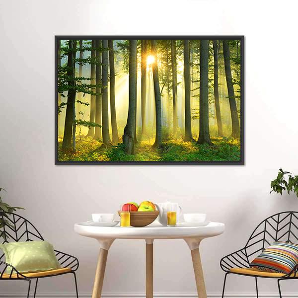 Forest Morning Canvas Wall Art-3 Horizontal-Gallery Wrap-25" x 16"-Tiaracle