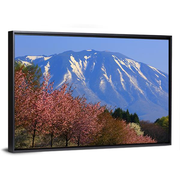 Iwate & Cherry Tree Canvas Wall Art-3 Horizontal-Gallery Wrap-25" x 16"-Tiaracle