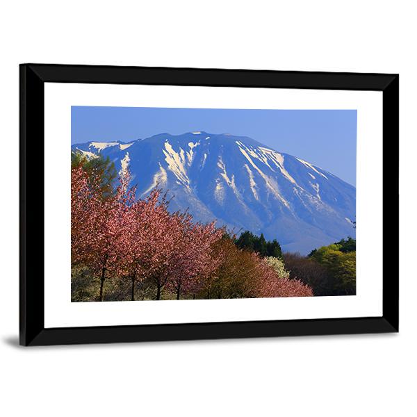 Iwate & Cherry Tree Canvas Wall Art-3 Horizontal-Gallery Wrap-25" x 16"-Tiaracle