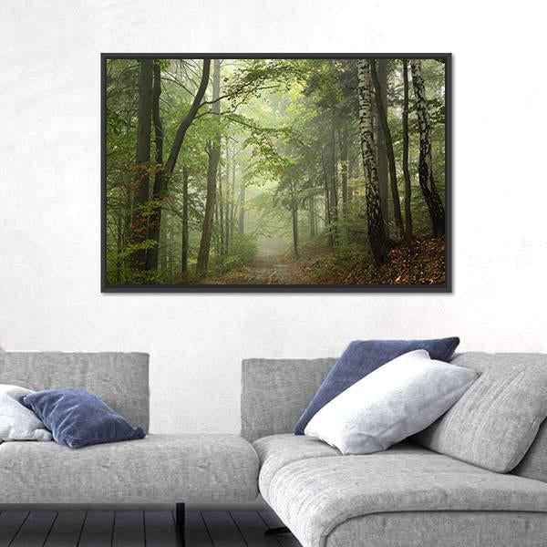 Path Through The Beech Forest In Foggy Weather Canvas Wall Art-5 Horizontal-Gallery Wrap-22" x 12"-Tiaracle