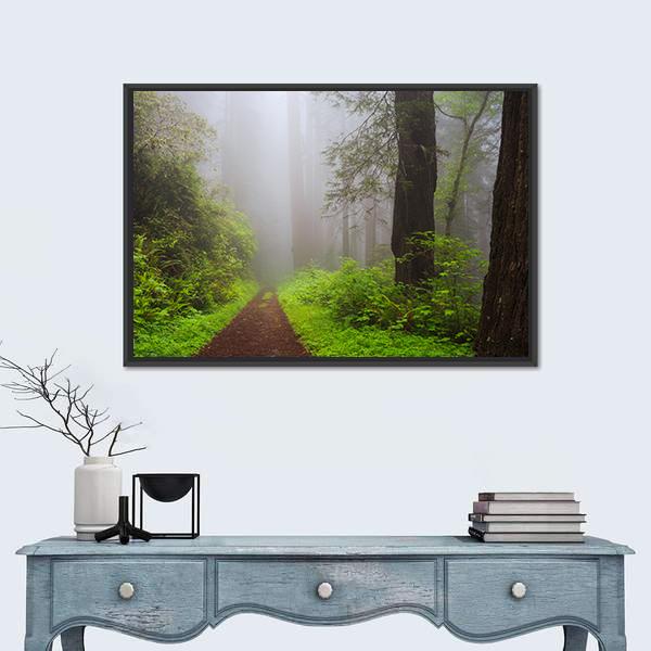 Path Through the Redwoods Forest Canvas Wall Art-1 Piece-Floating Frame-24" x 16"-Tiaracle