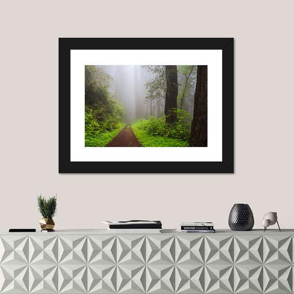 Path Through the Redwoods Forest Canvas Wall Art-1 Piece-Framed Print-20" x 16"-Tiaracle