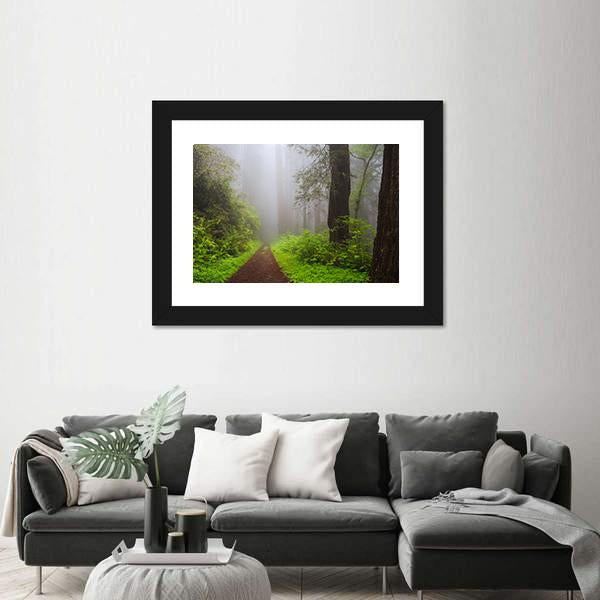 Path Through the Redwoods Forest Canvas Wall Art-5 Horizontal-Gallery Wrap-22" x 12"-Tiaracle