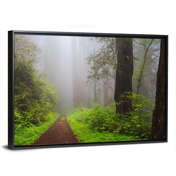 Path Through the Redwoods Forest Canvas Wall Art-5 Horizontal-Gallery Wrap-22" x 12"-Tiaracle