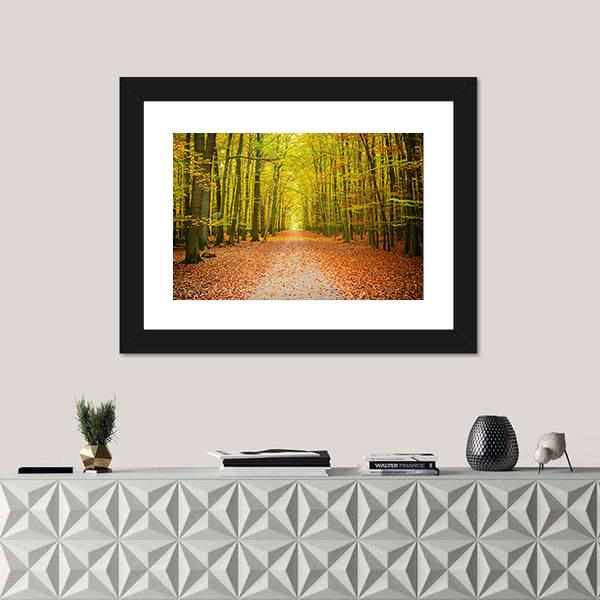 Pathway In The Autumn Forest Canvas Wall Art-3 Horizontal-Gallery Wrap-25" x 16"-Tiaracle