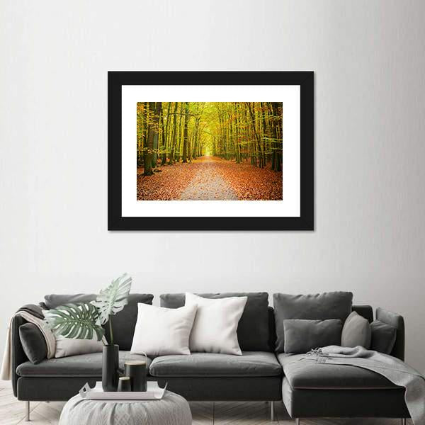 Pathway In The Autumn Forest Canvas Wall Art-3 Horizontal-Gallery Wrap-25" x 16"-Tiaracle
