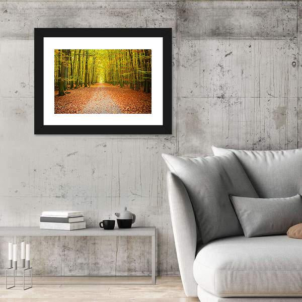 Pathway In The Autumn Forest Canvas Wall Art-3 Horizontal-Gallery Wrap-25" x 16"-Tiaracle