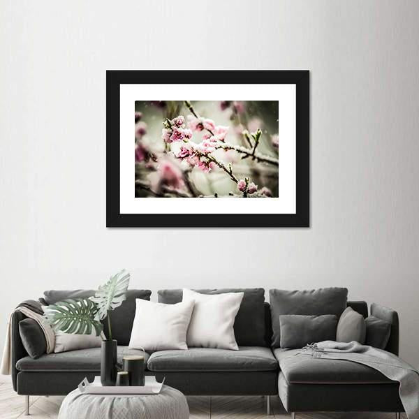 Peach Blossom Covered In Snow Canvas Wall Art-5 Horizontal-Gallery Wrap-22" x 12"-Tiaracle