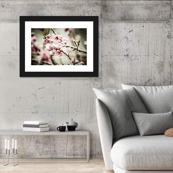 Peach Blossom Covered In Snow Canvas Wall Art-5 Horizontal-Gallery Wrap-22" x 12"-Tiaracle