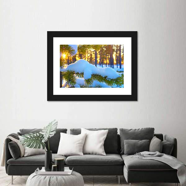 Pine Branch In Snow Winter Sunset In The Forest Canvas Wall Art-5 Horizontal-Gallery Wrap-22" x 12"-Tiaracle