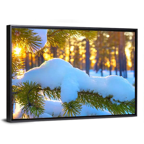 Pine Branch In Snow Winter Sunset In The Forest Canvas Wall Art-5 Horizontal-Gallery Wrap-22" x 12"-Tiaracle