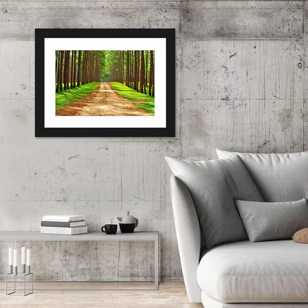 Pine Forest In Thailand Canvas Wall Art-5 Horizontal-Gallery Wrap-22" x 12"-Tiaracle