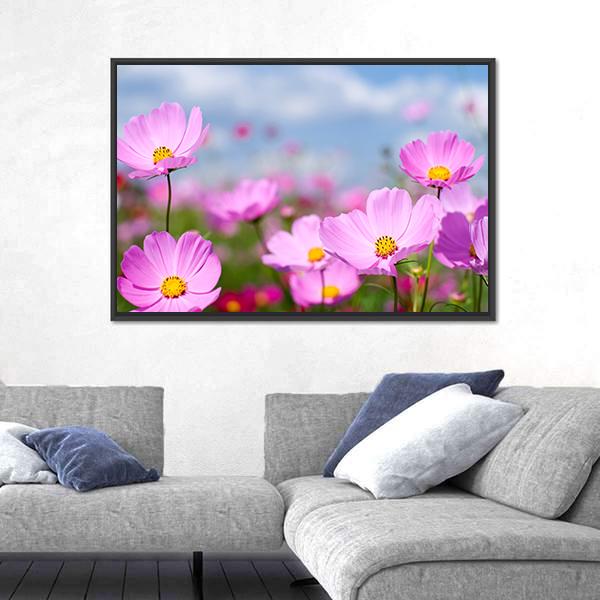 Pink Cosmos Field And Sky Canvas Wall Art-3 Horizontal-Gallery Wrap-25" x 16"-Tiaracle