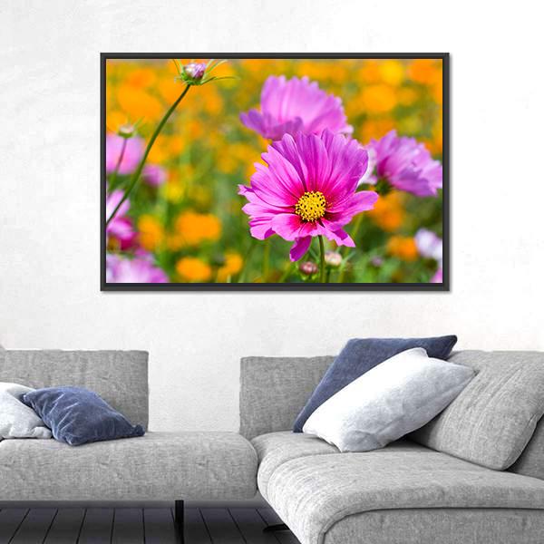 Pink Cosmos In The Flower Fields Canvas Wall Art-3 Horizontal-Gallery Wrap-25" x 16"-Tiaracle