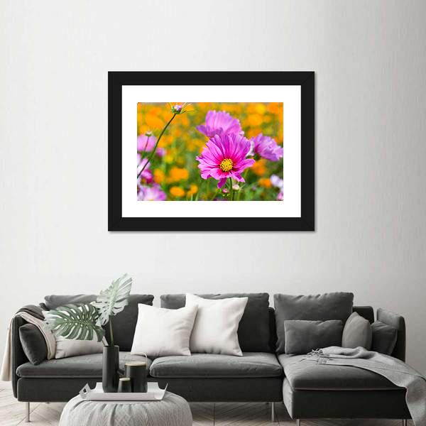 Pink Cosmos In The Flower Fields Canvas Wall Art-3 Horizontal-Gallery Wrap-25" x 16"-Tiaracle
