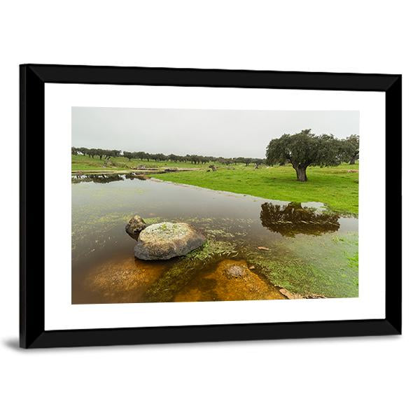 Pond In Extremadura Spain Canvas Wall Art-1 Piece-Framed Print-20" x 16"-Tiaracle