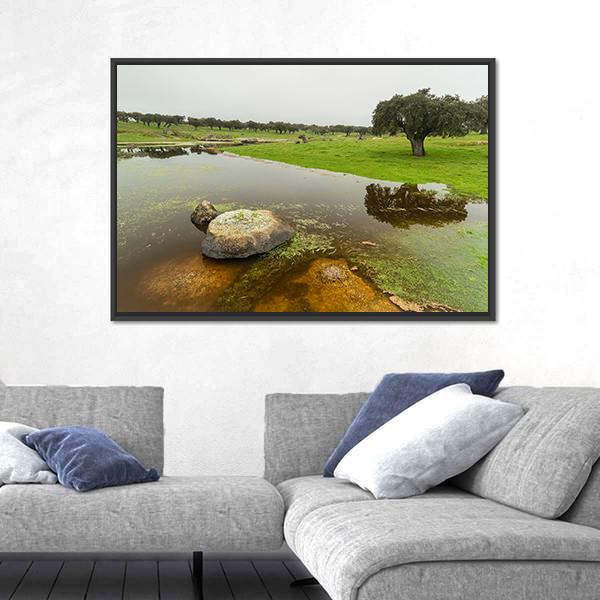 Pond In Extremadura Spain Canvas Wall Art-3 Horizontal-Gallery Wrap-25" x 16"-Tiaracle