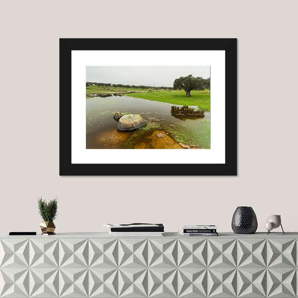 Pond In Extremadura Spain Canvas Wall Art-3 Horizontal-Gallery Wrap-25" x 16"-Tiaracle