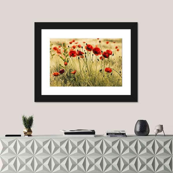 Poppy Flower Field Canvas Wall Art-1 Piece-Framed Print-20" x 16"-Tiaracle