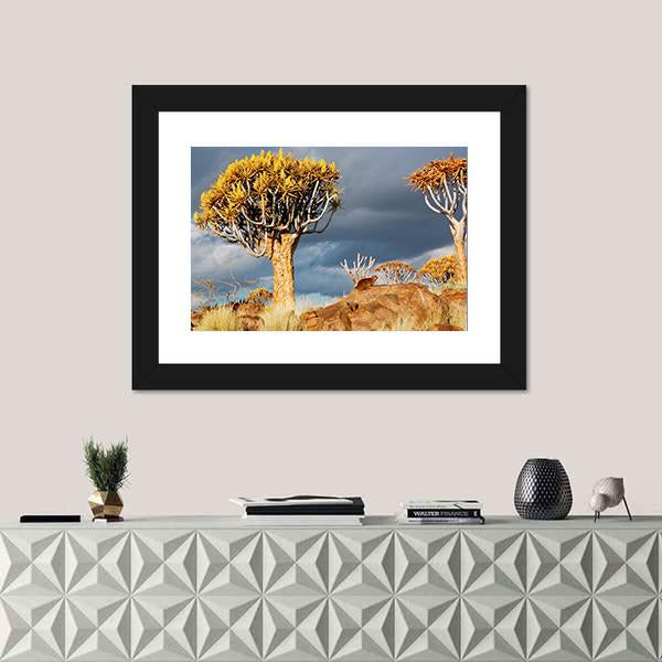 Quiver Tree Forest Landscape In South Africa Canvas Wall Art-1 Piece-Framed Print-20" x 16"-Tiaracle