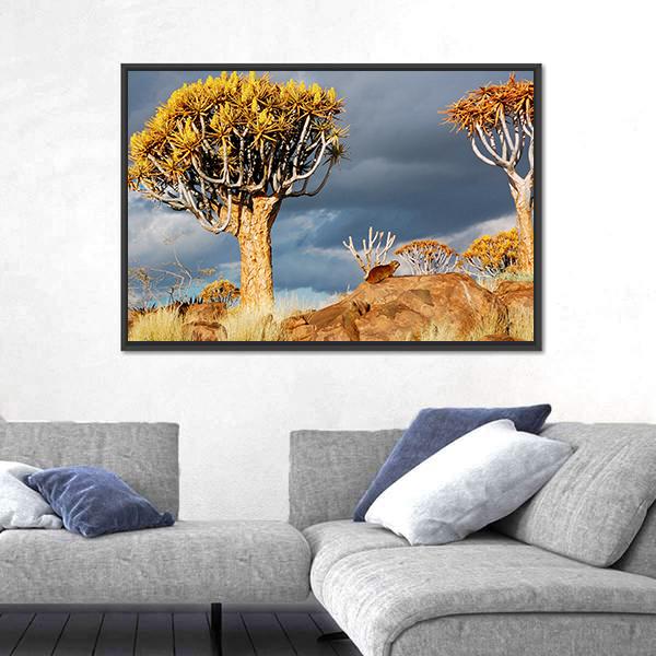 Quiver Tree Forest Landscape In South Africa Canvas Wall Art-3 Horizontal-Gallery Wrap-25" x 16"-Tiaracle