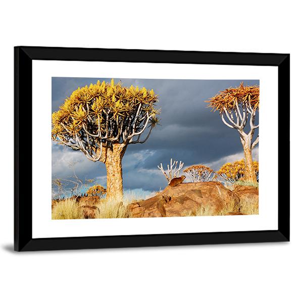 Quiver Tree Forest Landscape In South Africa Canvas Wall Art-3 Horizontal-Gallery Wrap-25" x 16"-Tiaracle